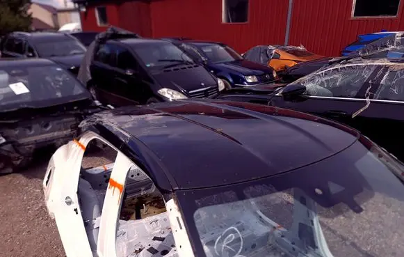Nissan Juke II F16 Roof 