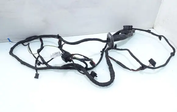 BMW 5 F10 F11 Front door wiring loom 4096316