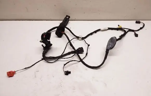 Front door wiring loom