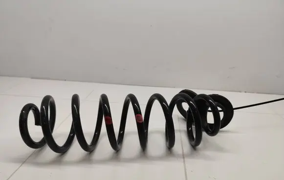 Toyota RAV 4 (XA50) Rear coil spring 4825847010