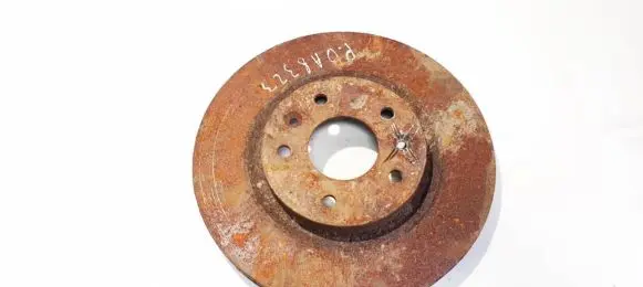 Nissan Qashqai Front brake disc ventiliuojamas