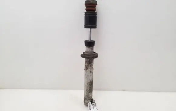 BMW 5 E39 Rear shock absorber/damper 1093646