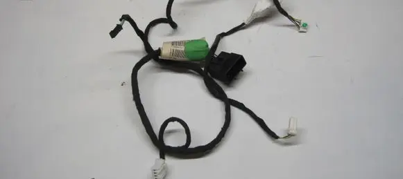 Maserati Quattroporte Rear door wiring loom 196810