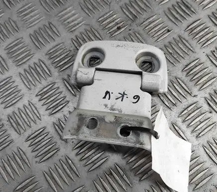 Peugeot Boxer Rear door lower hinge 1610799580