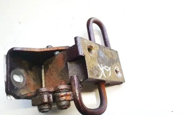 Rear door lower hinge