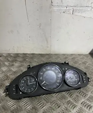 Mercedes-Benz CLS C219 Speedometer (instrument cluster) A2195404811 110080310013 001121