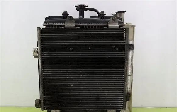 Peugeot 1007 Radiator set CZ42217313420T