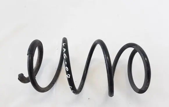 Front coil spring