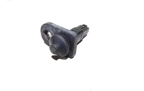 Hyundai Santa Fe Front door sensor 