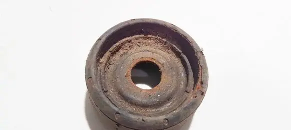 Coil spring mount