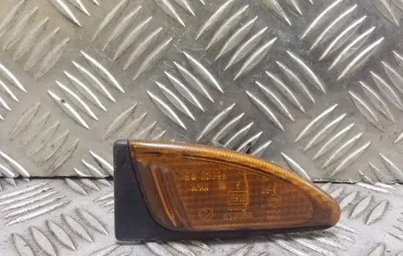 Front fender indicator light