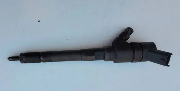 Hyundai Santa Fe Fuel injector 0445110254 3380027800