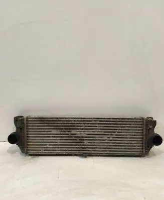 Volkswagen Crafter Intercooler radiator A9065010201 2E0145804A
