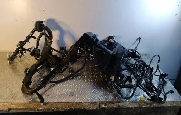 Toyota RAV 4 (XA50) Engine installation wiring loom 821114AW81