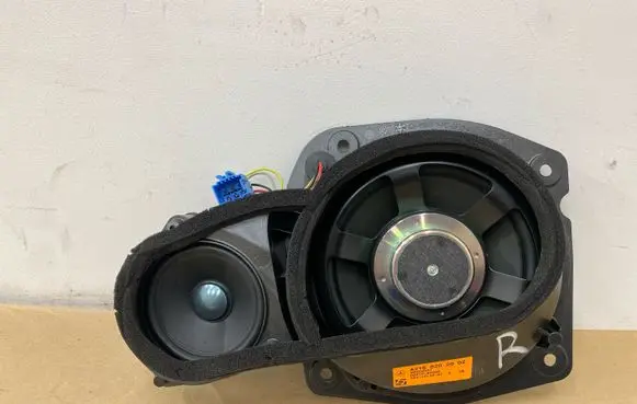 Mercedes-Benz CL C216 Front door speaker A2168202002