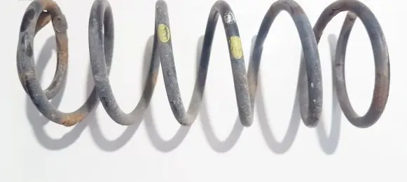 Hyundai Getz Rear coil spring