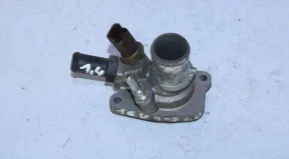 Thermostat/thermostat housing