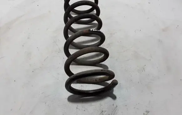 Nissan Pathfinder R51 Rear coil spring 55020EB31A