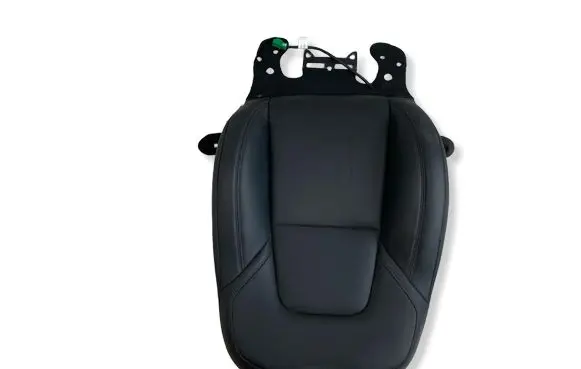 Tesla Model Y Rear seat 166974801B