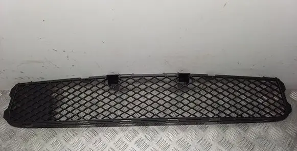 Mitsubishi Lancer X Front bumper lower grill 6400A827