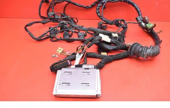 Other wiring loom
