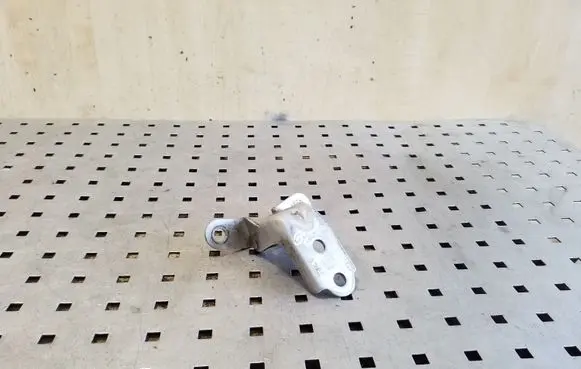 KIA Rio Rear door lower hinge