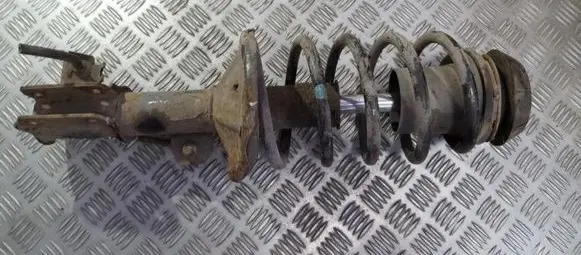 Front coil spring