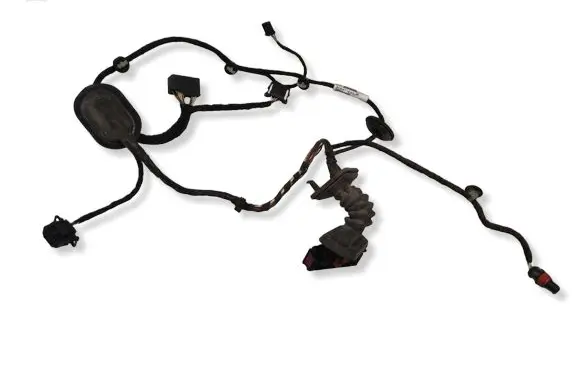 Volkswagen PASSAT B6 Rear door wiring loom 3C4971693JM