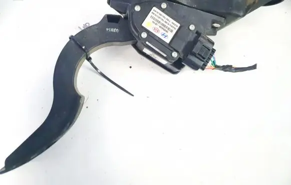 Hyundai Santa Fe Accelerator throttle pedal cbw0456a2b100