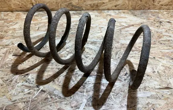 Rear coil spring