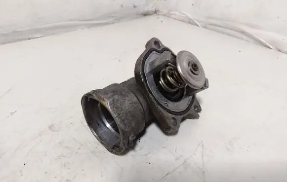 Thermostat/thermostat housing