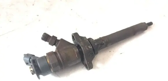 Citroen C4 I Fuel injector 0445110311