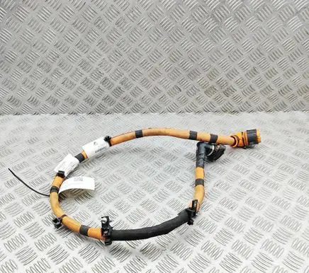 Renault Arkana Other wiring loom 240410216R
