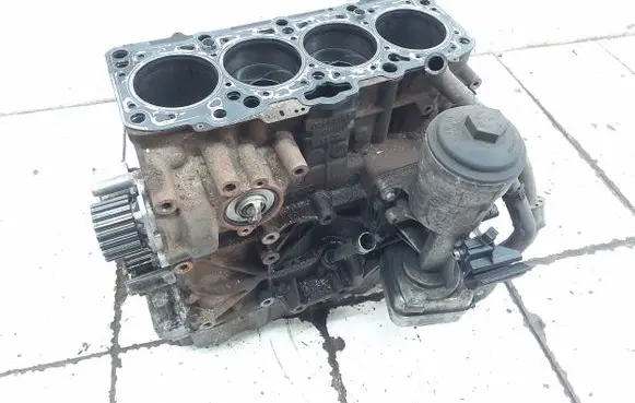 Volkswagen Golf V Engine BXE