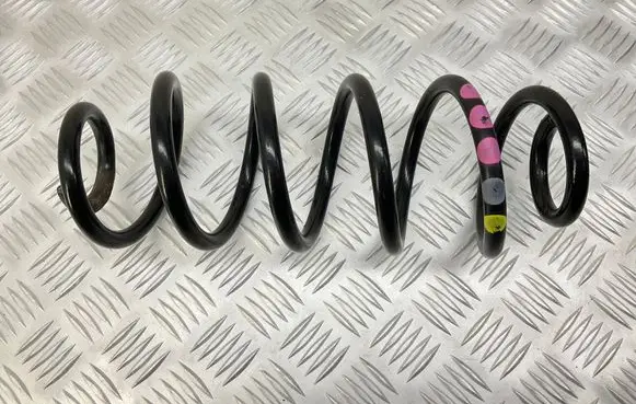 Rear coil spring
