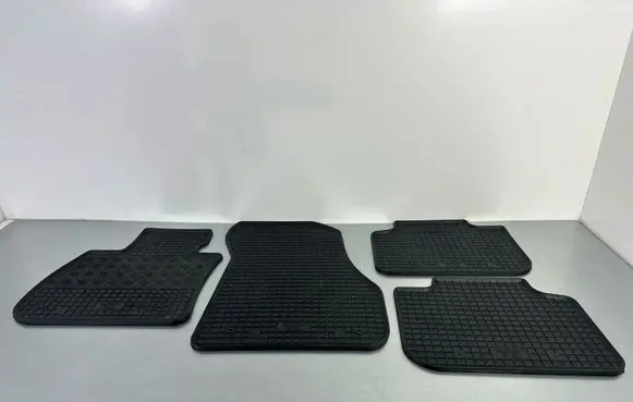 BMW X1 F48 F49 Car floor mat set