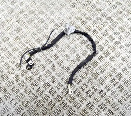Negative earth cable (battery)