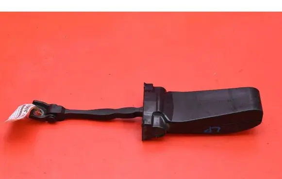 Skoda Superb B5 (3U) Front door check strap stopper 3V0837249