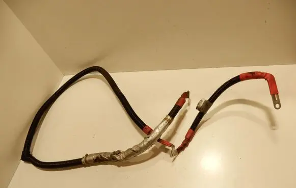 Positive wiring loom