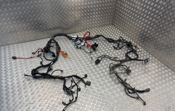 Tesla Model Y Other wiring loom 101558500A
