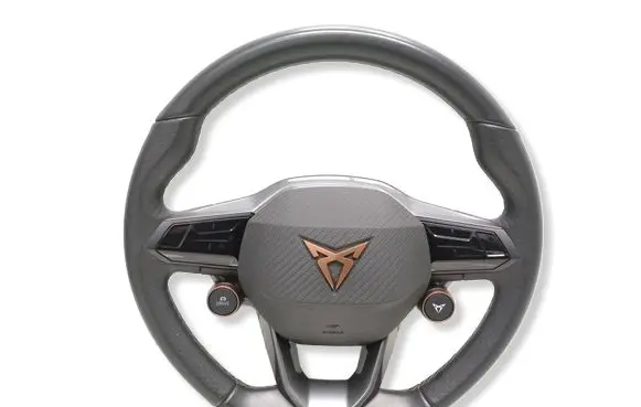 Cupra Born Steering wheel 10E419091AM 10E880201AE 3125649CFF