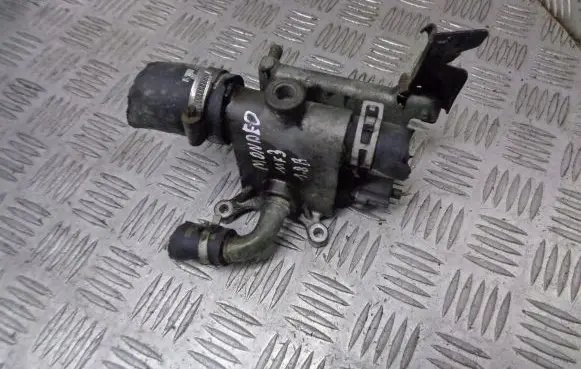Thermostat/thermostat housing