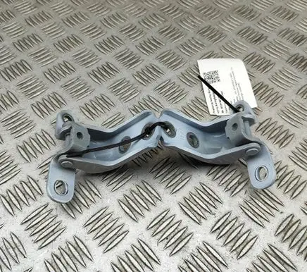 KIA Sportage Front door hinges set 793102V000