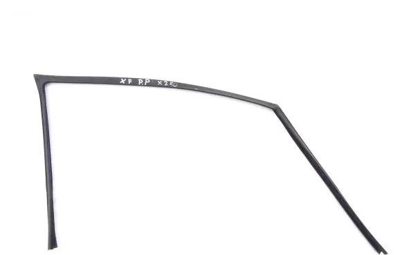 Jaguar XF X250 Rubber seal front door window/glass 