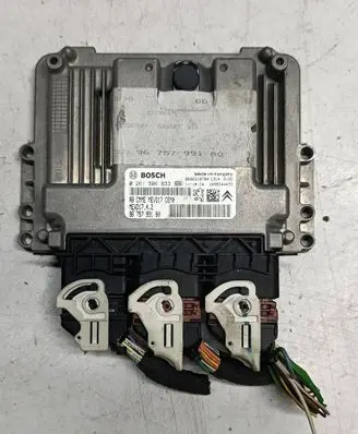 Engine control unit/module ECU