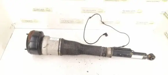 Mercedes-Benz S W221 Rear shock absorber/damper 2213202113 2213205513