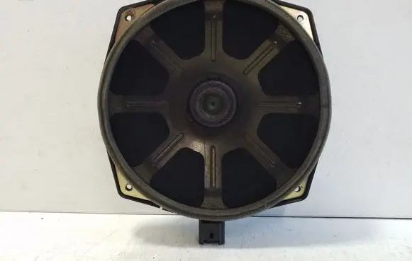 Front door speaker