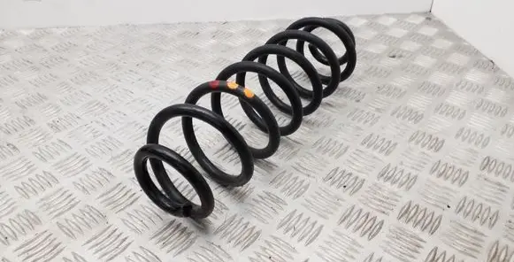 Rear coil spring