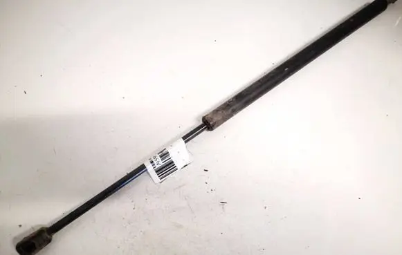 Tailgate/trunk strut/damper