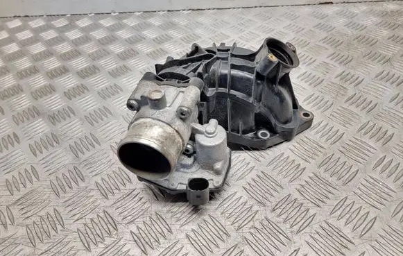 Ford Transit - Tourneo Connect Throttle valve 50989002 GK2Q9F991CA 17B0451134